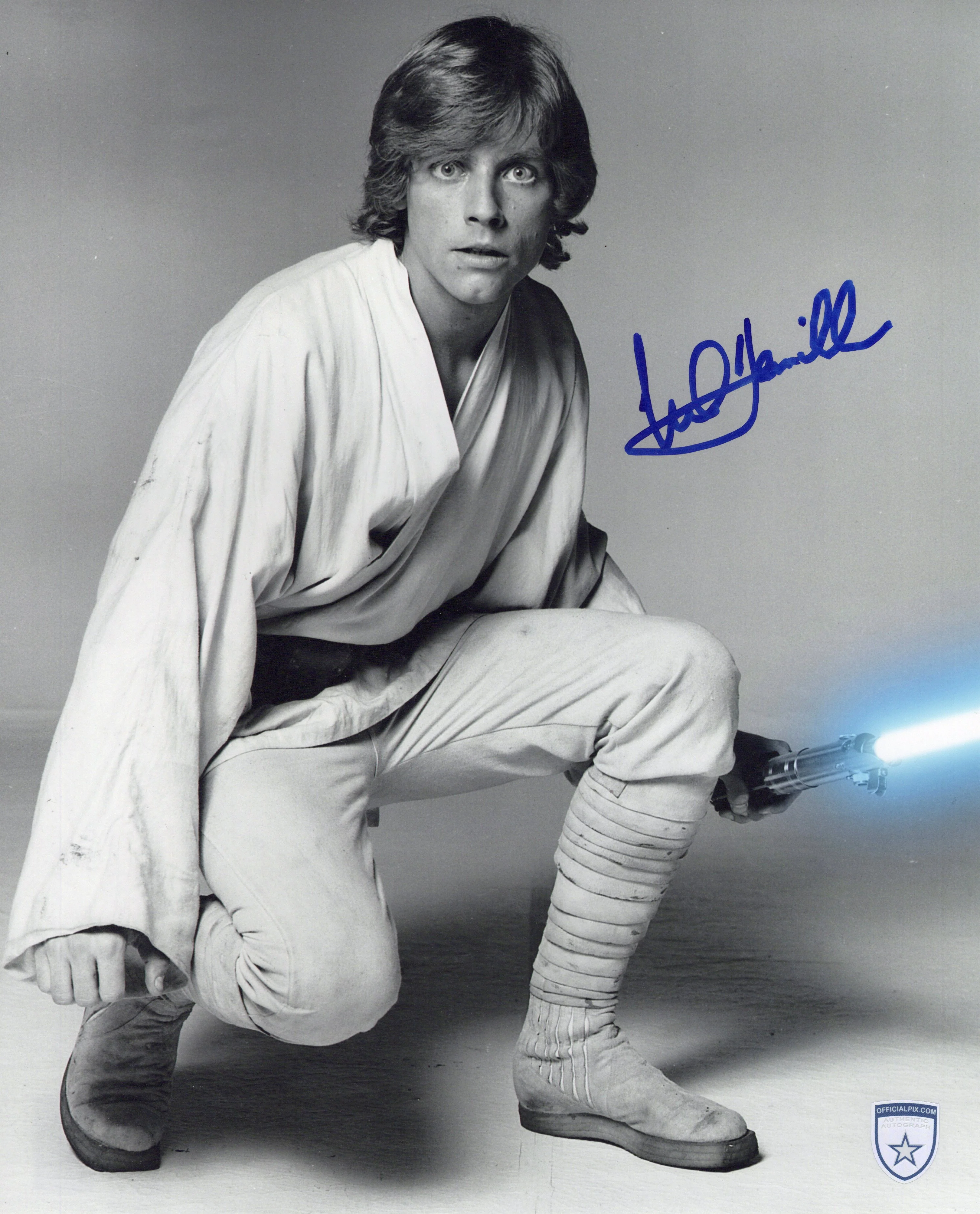 MARK HAMILL